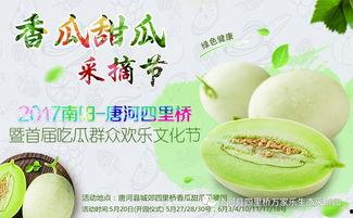 过桥吃瓜,揭秘桥上美食的独特魅力