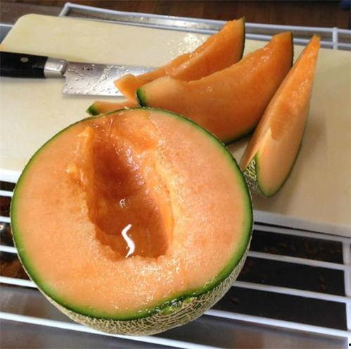 少安吃瓜图片,揭秘娱乐圈幕后风云