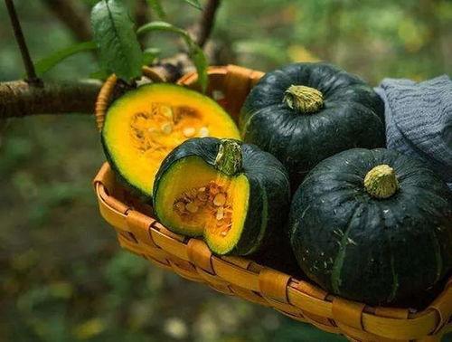 白板栗瓜怎么吃,白板栗瓜的多彩食法探索