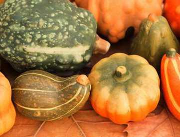 宝宝蓝瓜怎么吃,宝宝蓝瓜的多样食用方法探索