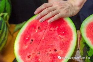 常州学院吃瓜,一网打尽校园新鲜事