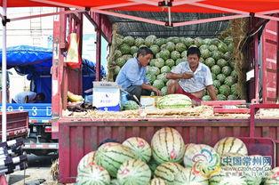 常州学院吃瓜,一网打尽校园新鲜事