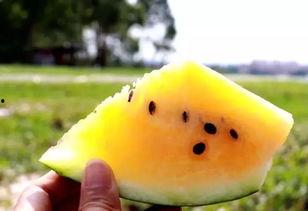 吃瓜群黄色qq,一场关于黄色内容的网络狂欢