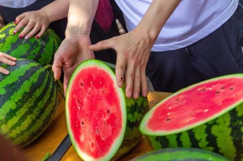 合肥大学食堂吃瓜,瓜果飘香，美食汇聚的校园食光