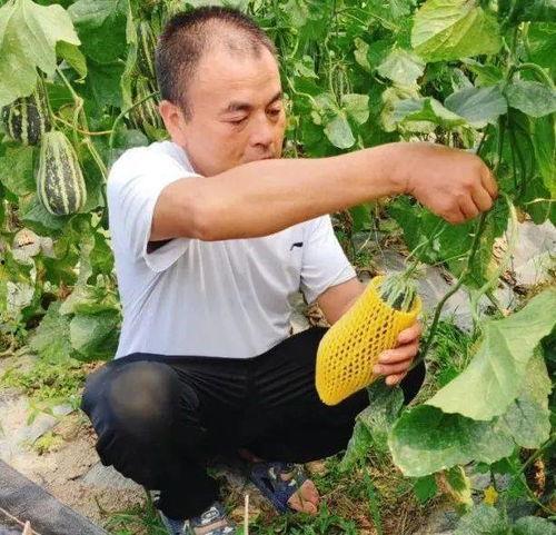 吃瓜爆破,揭秘娱乐圈幕后真相