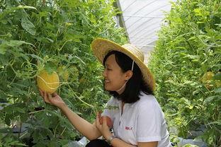 山东潍坊青州吃瓜,潍坊青州特色美食之旅