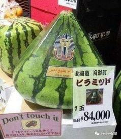 吃瓜群众误国,网络舆论的反思与启示