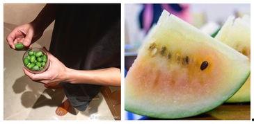 吃瓜群众误国,网络舆论的反思与启示