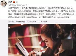 吃瓜群众何洁,吃瓜群众眼中的娱乐圈风云人物