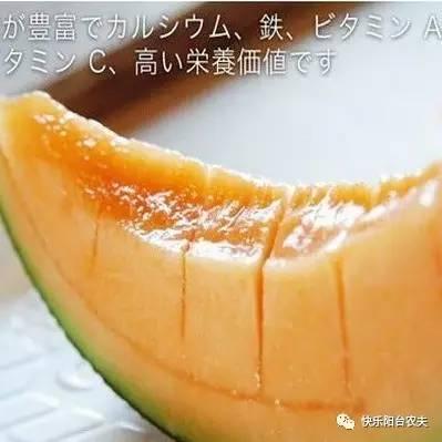 福腾蜜瓜怎么吃,解锁夏日清新口感