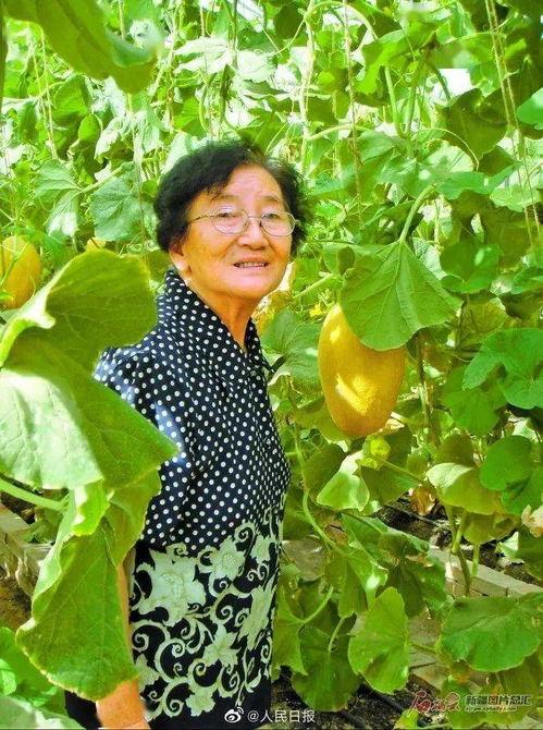 吃瓜gua,揭秘吃瓜群众的狂欢盛宴